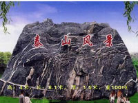 tss-0152.jpg